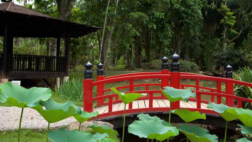 Botanic Garden & Parque Lage with Transfer