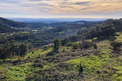 Monchique: A mountain range that challenges the senses