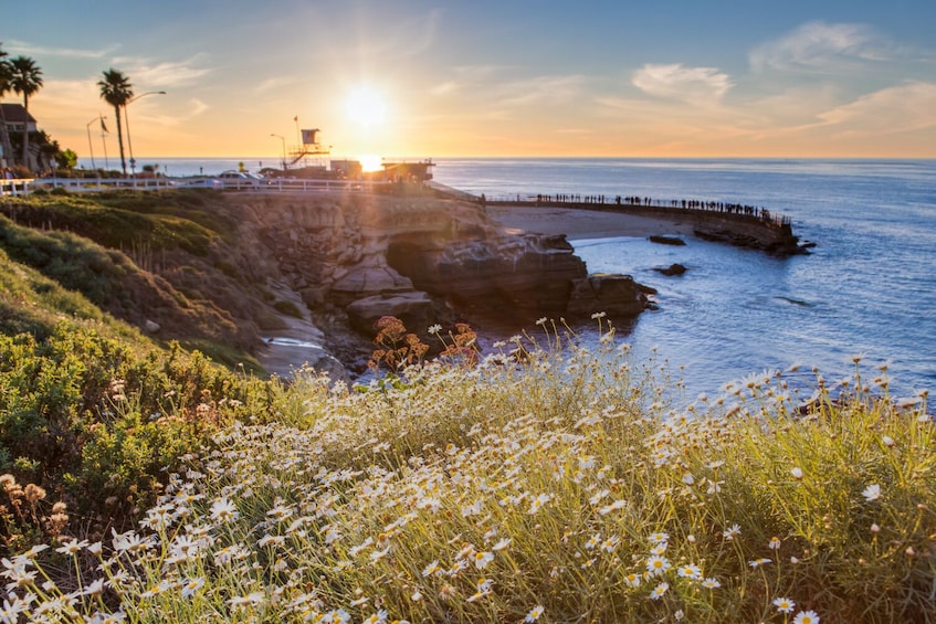 La Jolla Self-Guided Driving Tour