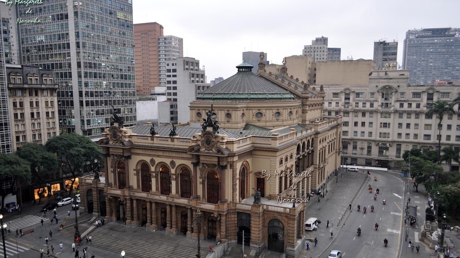 Sao Paulo City Tour