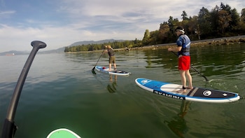 Stand-Up Paddleboard Group Lesson