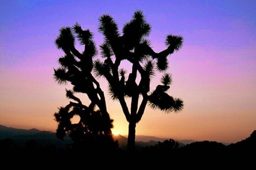 Sunsets are magical.