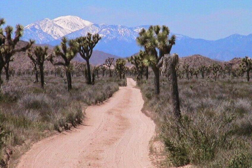 A road with no name.