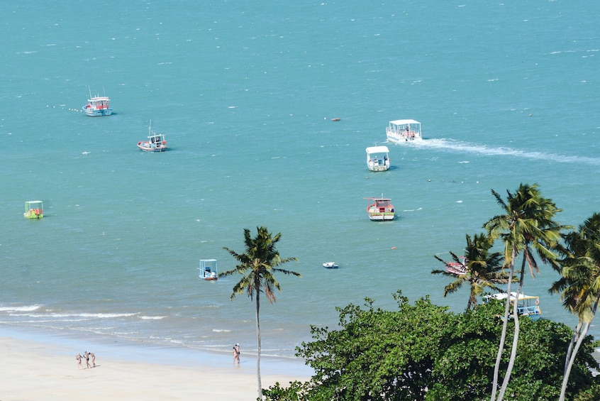 Beach Day In Maragogi From Recife