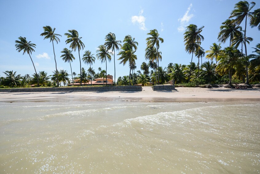 Beach Day In Maragogi From Recife