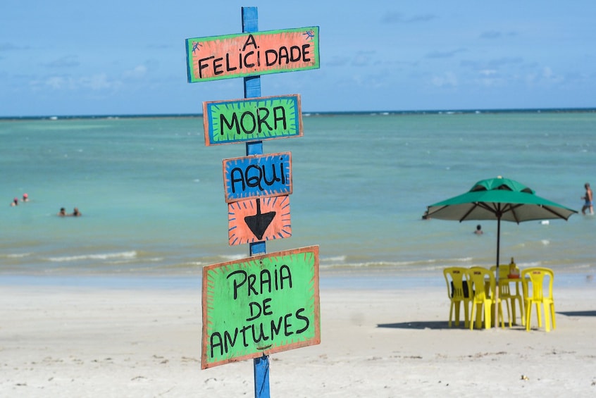 Beach Day In Maragogi From Recife