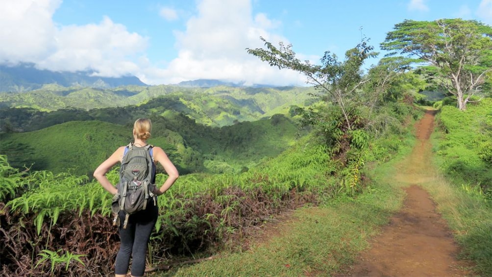 Kuilau Ridge Hike