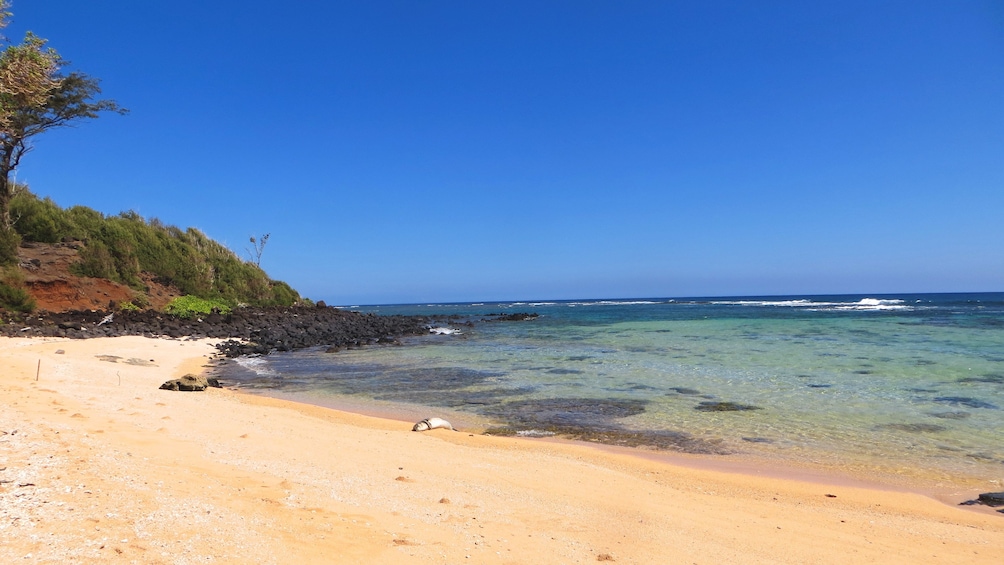 View of beautiful Kauai coastline.