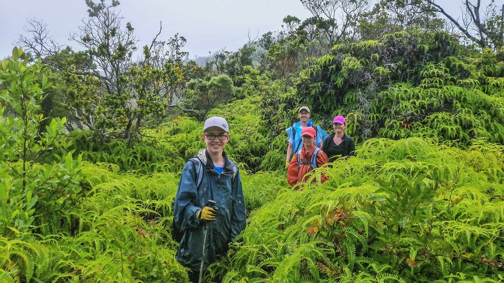 Group of hikers walking through forest area of park filled with grass and trees.