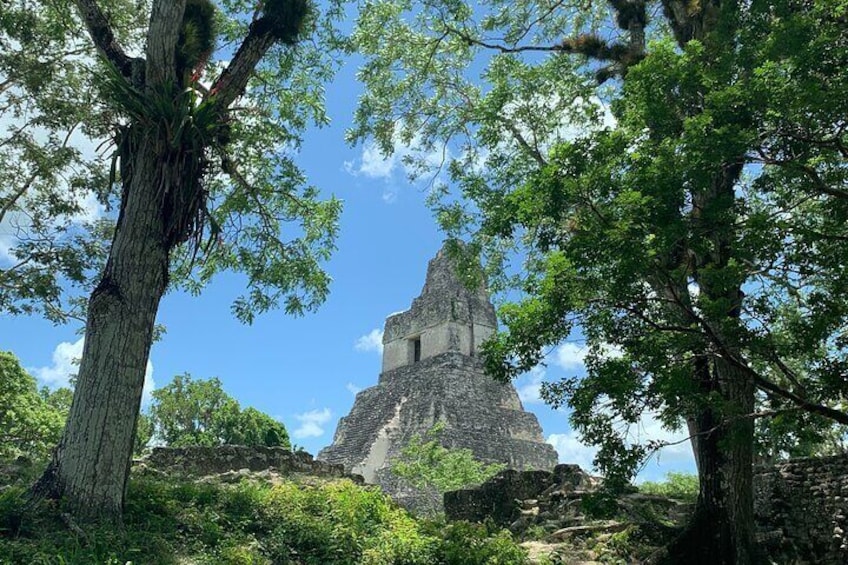 Visit The Heart of The Mayan Kingdom: TIKAL, One Day by Air from Guatemala City