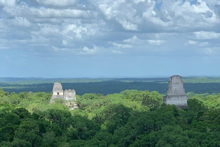 Visit The Heart of The Mayan Kingdom: TIKAL, One Day by Air from Guatemala City