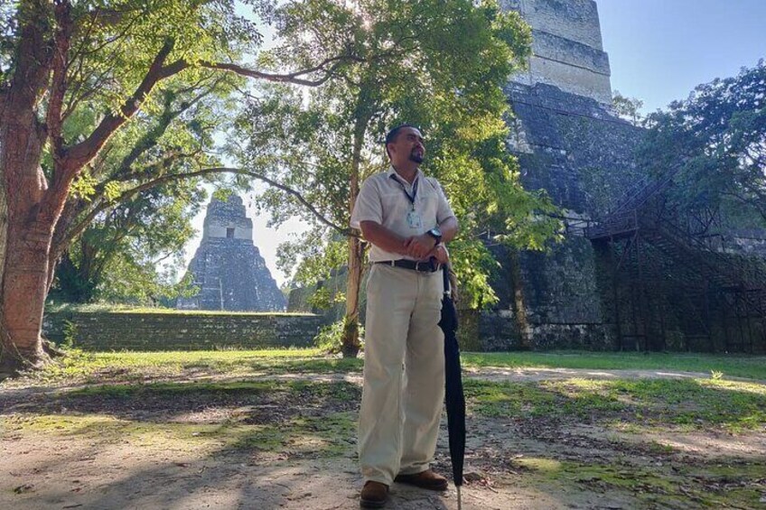 Tikal Full-Day Sightseeing Tour from Guatemala City