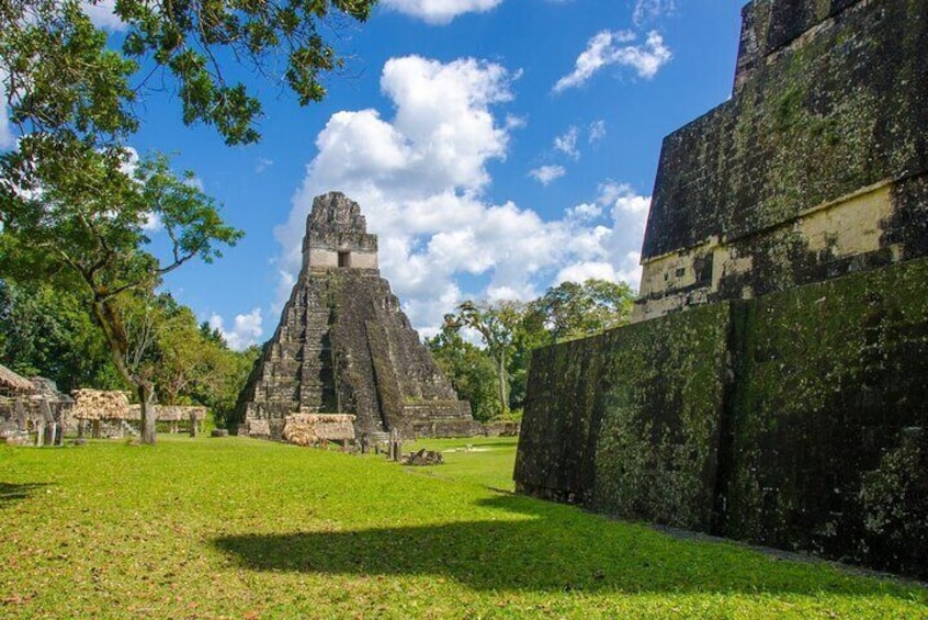 Tikal Full-Day Sightseeing Tour from Guatemala City