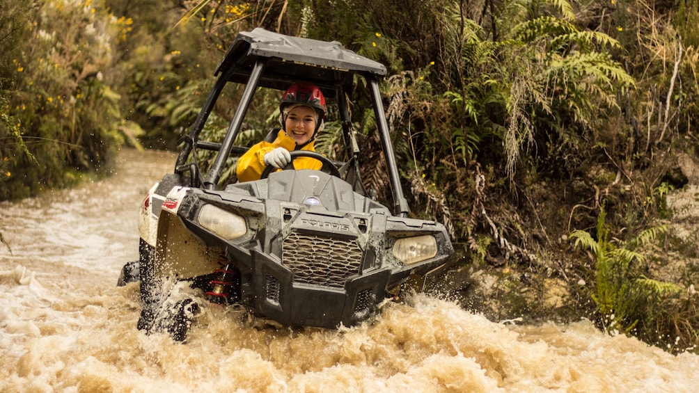 Rainforest Off-Road Buggy Adventure