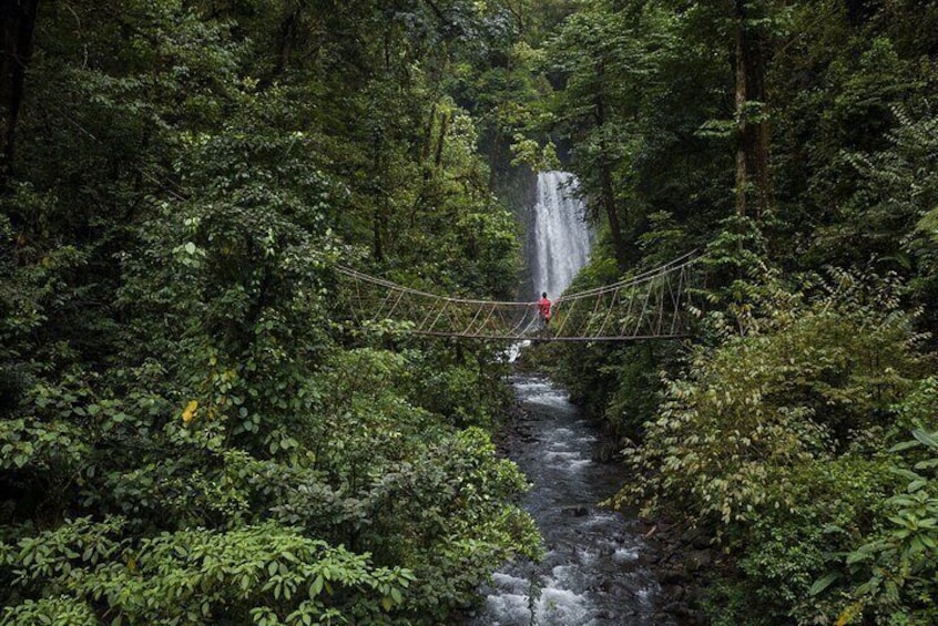 Monteverde Cloud Forest Waterfalls, Wild Trekking and Horseback Riding