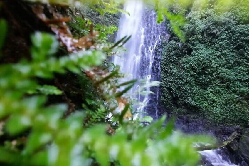 Monteverde Cloud Forest Waterfalls, Wild Trekking and Horseback Riding