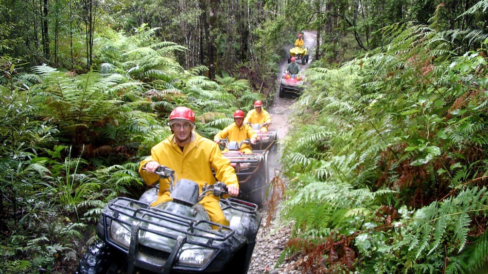 Row of ATV rider on a dirt path through the forest in New Zealand