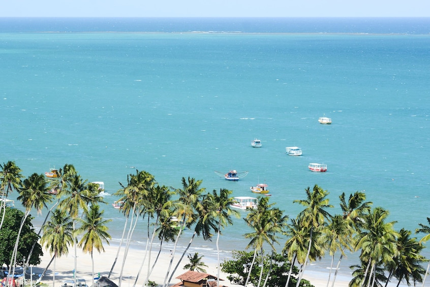 Beach Day In Maragogi From Porto De Galinhas