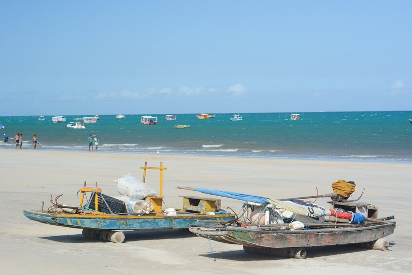 Beach Day In Maragogi From Porto De Galinhas