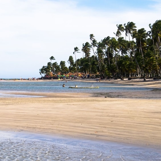 Tour To Carneiros With Catamaran Ride From Porto de Galinhas