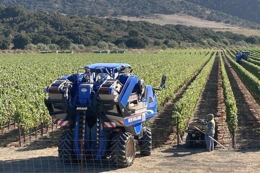  Private 6 hour Wine tour of the Santa Ynez Valley