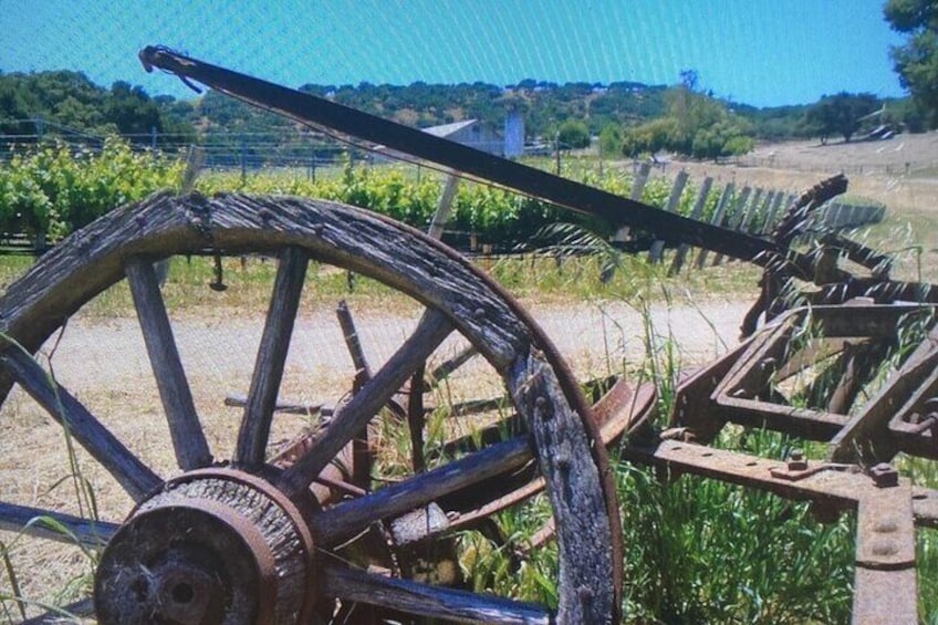 6 hour Private Wine Country tour 