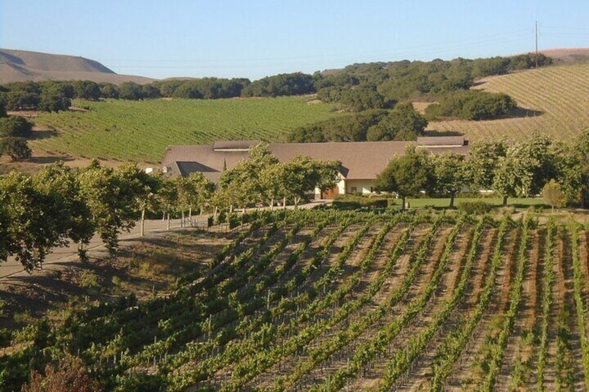  Private 6 hour Wine tour of the Santa Ynez Valley