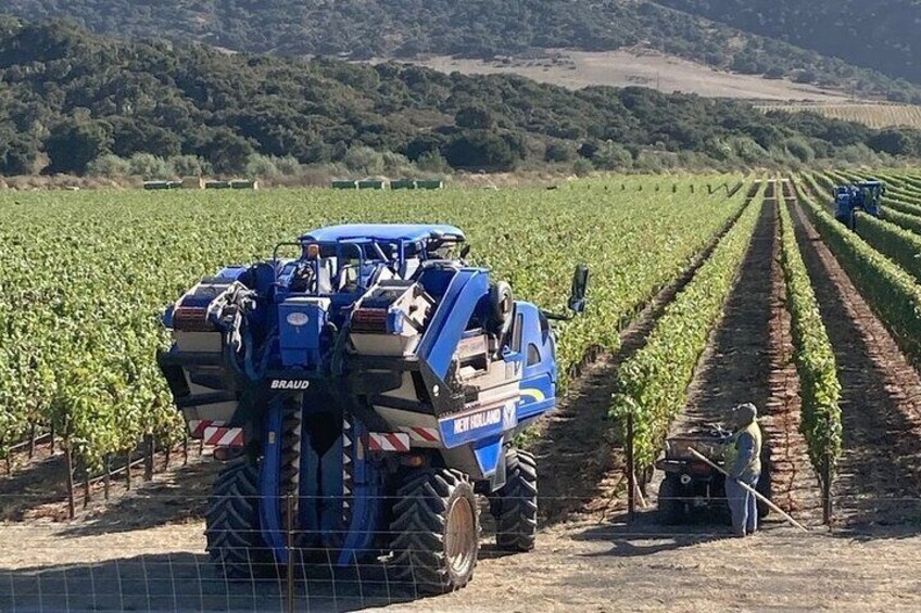 Private 6 hour Wine tour of the Santa Ynez Valley