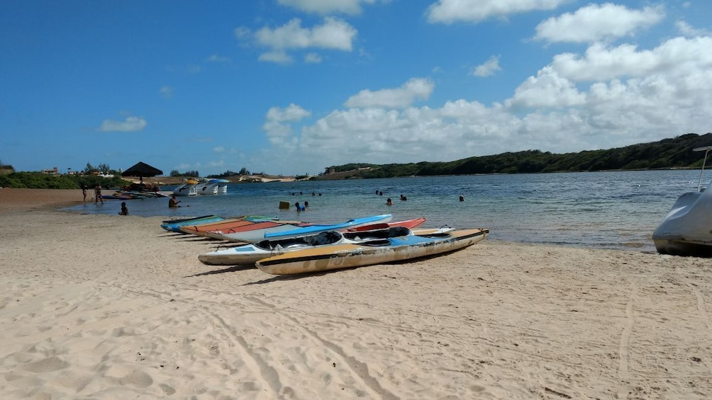 South Coast with Aritiba Lagoon Tour