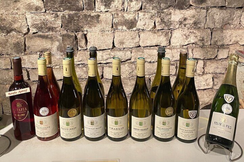 Private tasting of Burgundy wines in Saint Bris Le Vineux