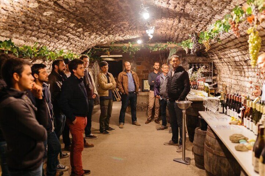 Private tasting of Burgundy wines in Saint Bris Le Vineux
