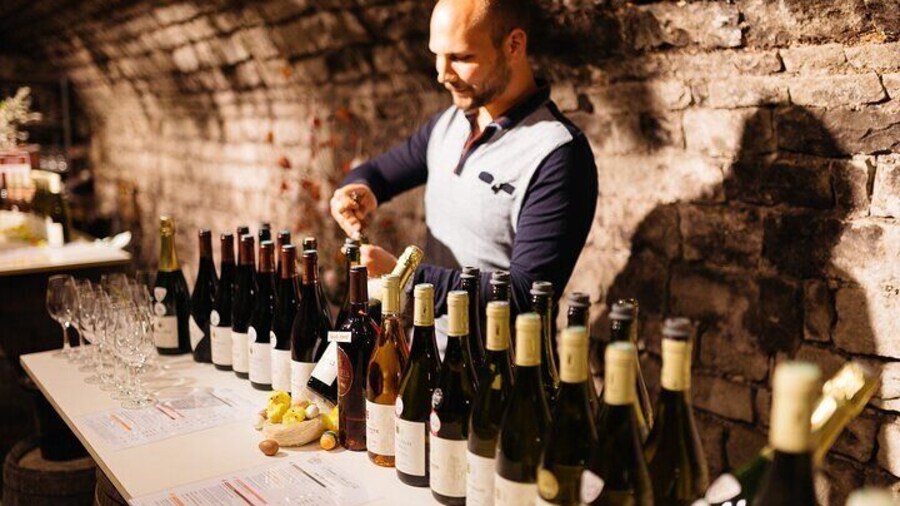 Private tasting of Burgundy wines in Saint Bris Le Vineux