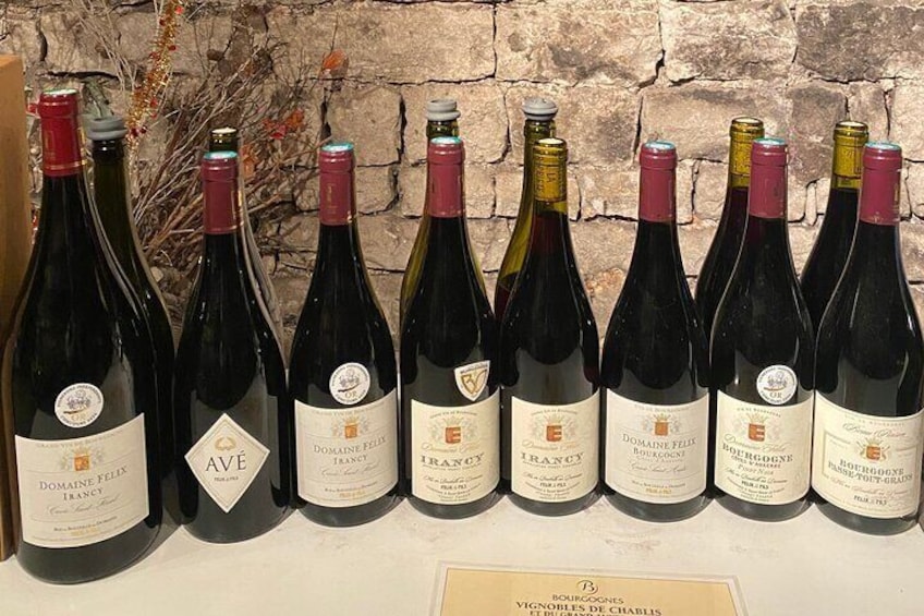 Private tasting of Burgundy wines in Saint Bris Le Vineux