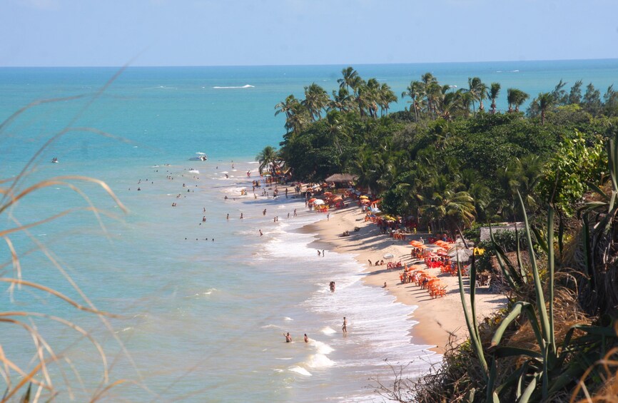 Day tour to Joao Pessoa From Natal 