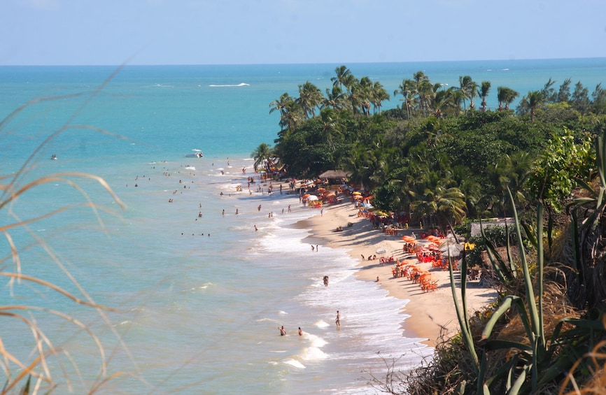 Day tour to Joao Pessoa From Natal