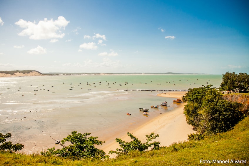 Barra Do Cunhaú Beach Tour