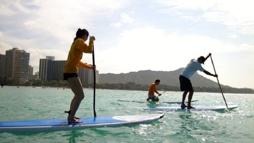 Waikiki Beachboys Private Group Stand-Up Paddle Lessons 