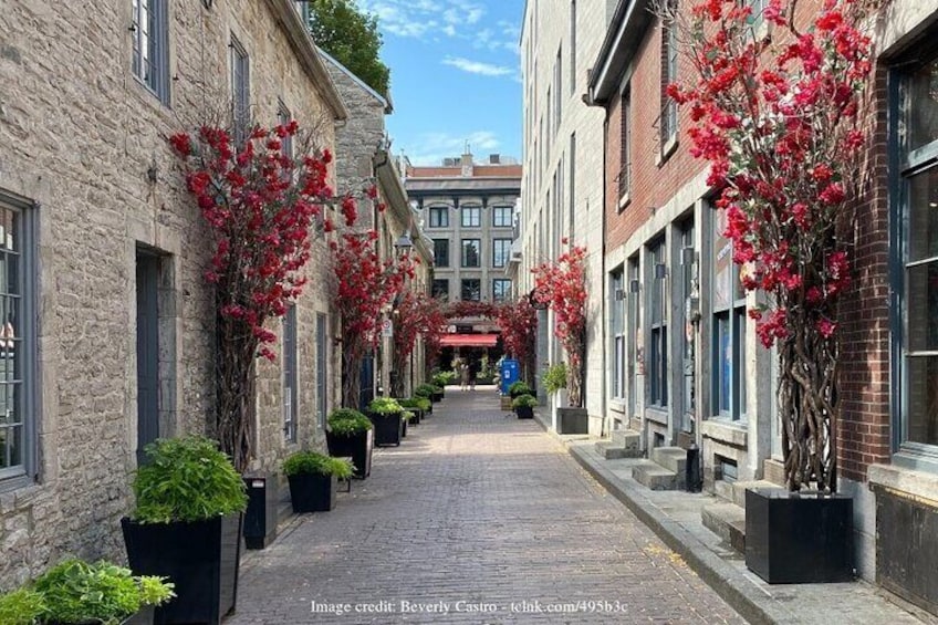 Welcome to Montreal’s Old Town: Private 2-hour Walking Tour