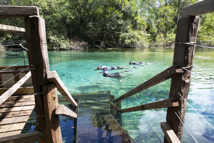 Snorkeling Rio Da Prata Tour
