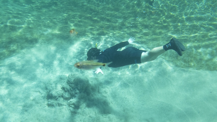 Snorkeling Rio Da Prata Tour