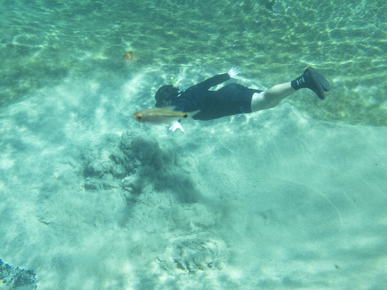 Snorkeling Rio Da Prata Tour