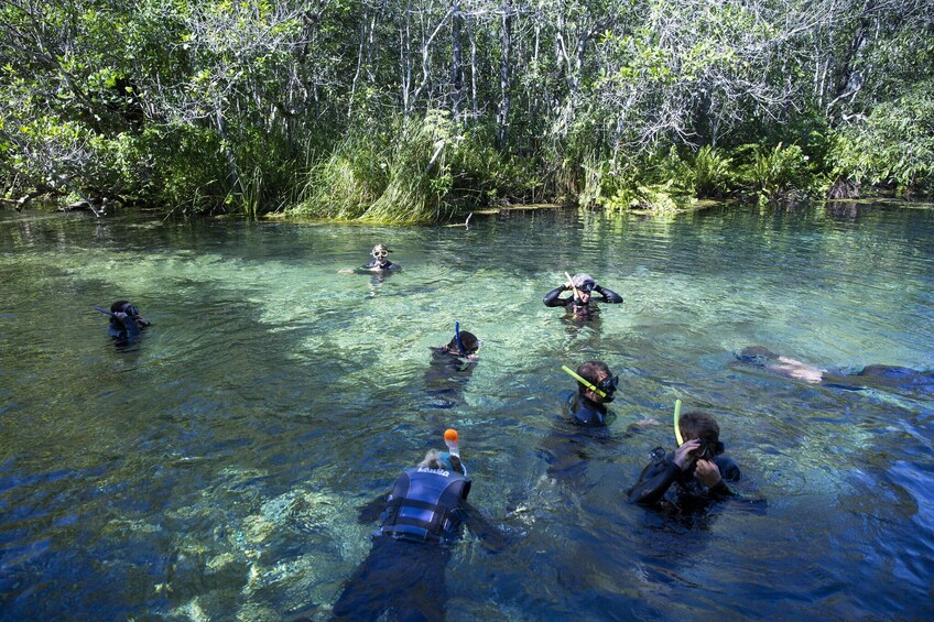 Snorkeling Rio Da Prata Tour