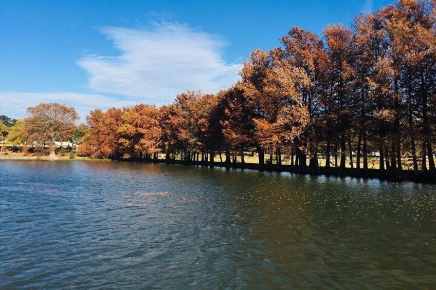 Private Lake Austin Boat Cruise