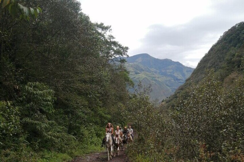 2 Hours Small-Group Horseback Riding Experience in Banos