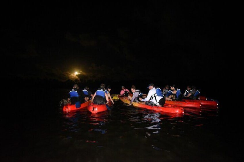 Group Bio Bay Sunset Adventure Kayaking