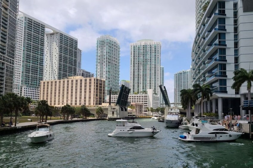 Miami: Skyline Happy Hour South Beach  90 min sightseeing cruise 