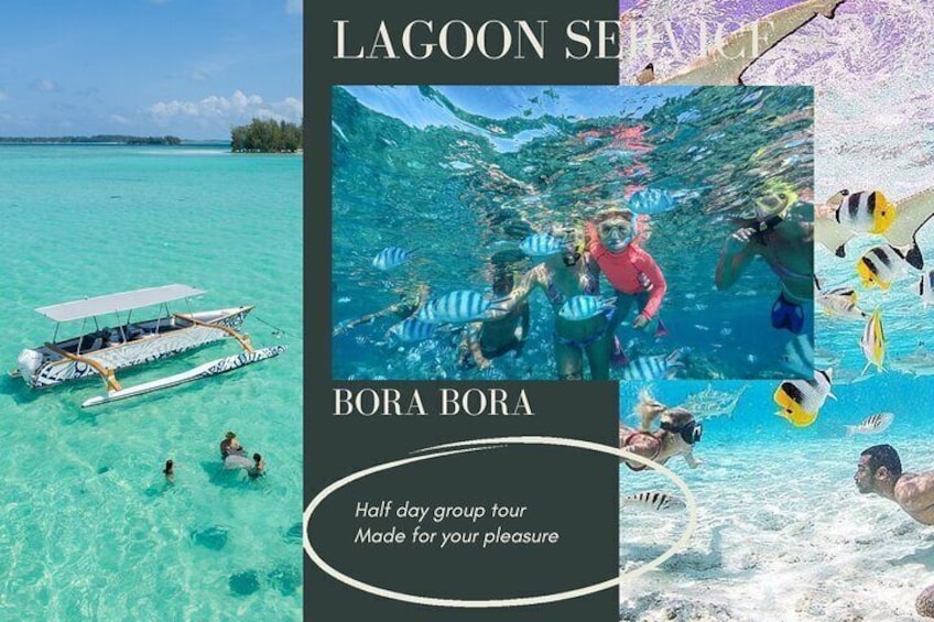 bora-bora-lagoon-service-snorkeling-activity