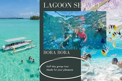 Croisière d'une demi-journée en petit groupe à Bora Bora avec plongée avec ...