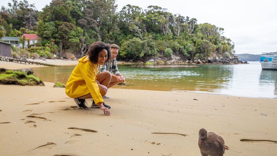 Ulva Island Explorer: Cruise & Guided Walk