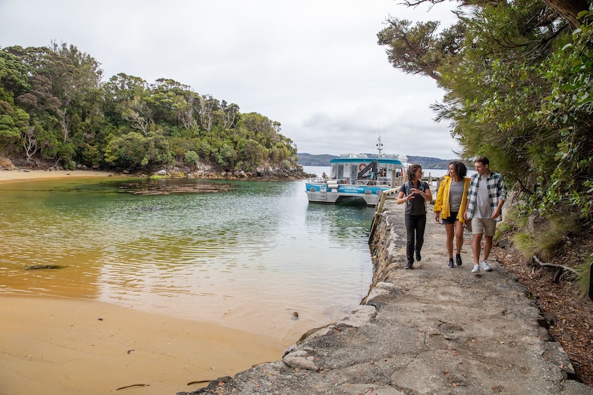 Ulva Island Explorer: Cruise & Guided Walk